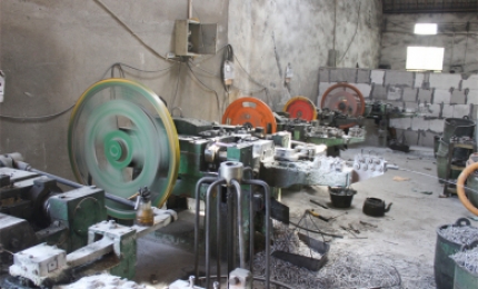 Real scene of plant