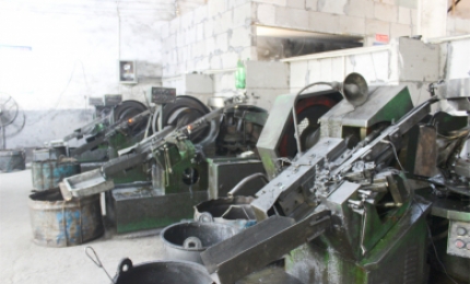 Real scene of plant