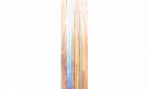TL-04Extra long ordinary ring nail