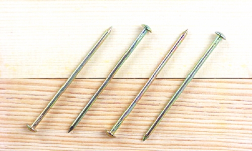 TL-14Half round head ordinary nail