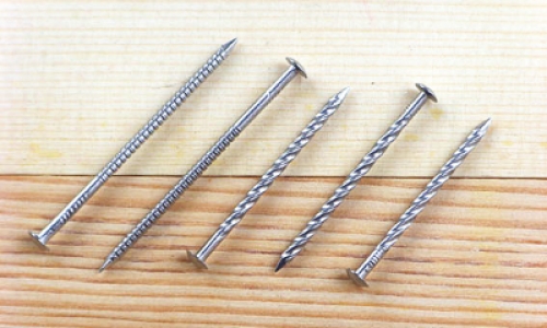 TL-30Stainless steel half round head screw nail