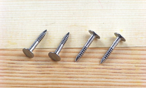 TL-31Stainless steel ring shaped cap nail
