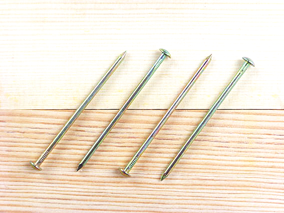 TL-14Half round head ordinary nail(图1)