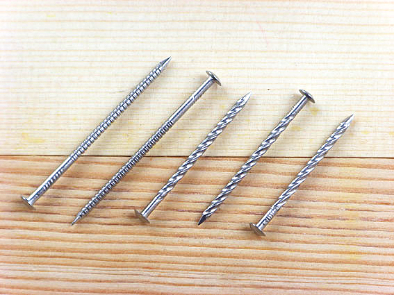 TL-30Stainless steel half round head screw nail(图1)