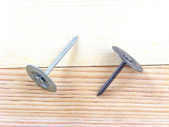 TL-33Iron plate cap nail(图1)