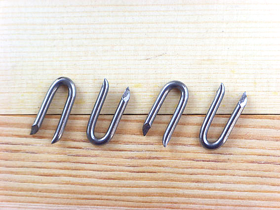 TL-35Ordinary U-shaped nail(图1)