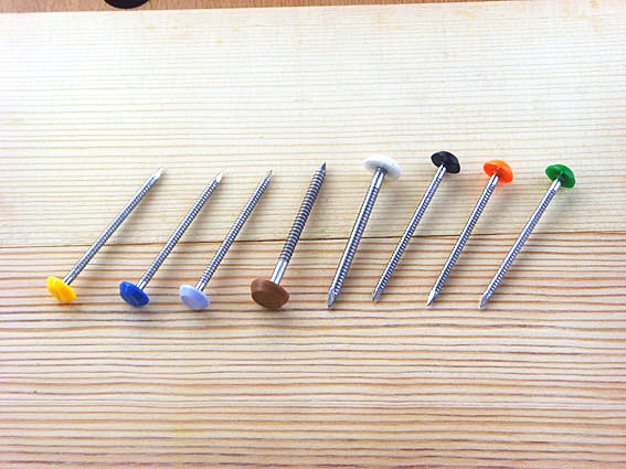 TL-65Stainless steel injection nail(图1)
